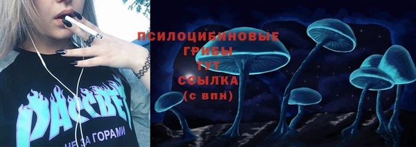 героин Алексин