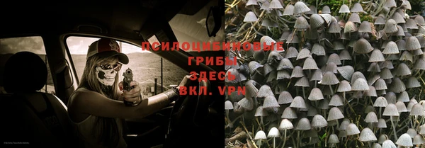 героин Алексин
