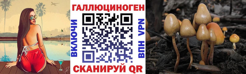 Псилоцибиновые грибы GOLDEN TEACHER  Кремёнки 